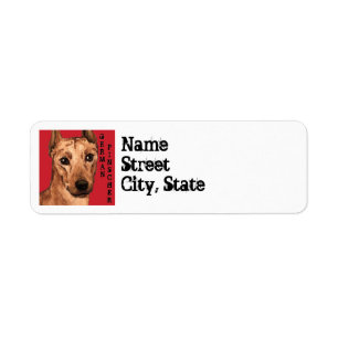 Pinscher Farbblock