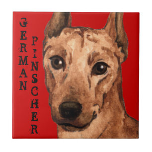 Pinscher Farbblock Fliese