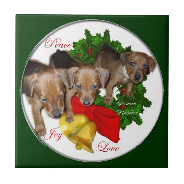 Pinscher Puppys Weihnachten Fliese (Vorderseite)
