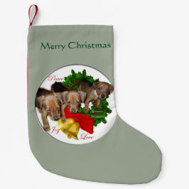 Pinscher Puppys Weihnachten Kleiner Weihnachtsstrumpf