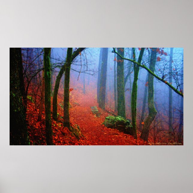 Pinselforst Herbst Blauer Nebel Plakat drucken (Vorne)
