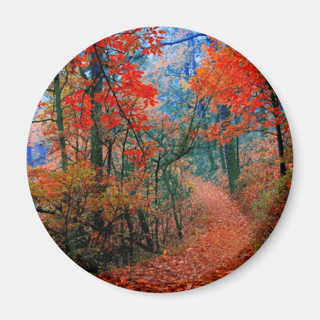 Pinselforst Herbstflammflammgeschenke Magnet (Vorne)