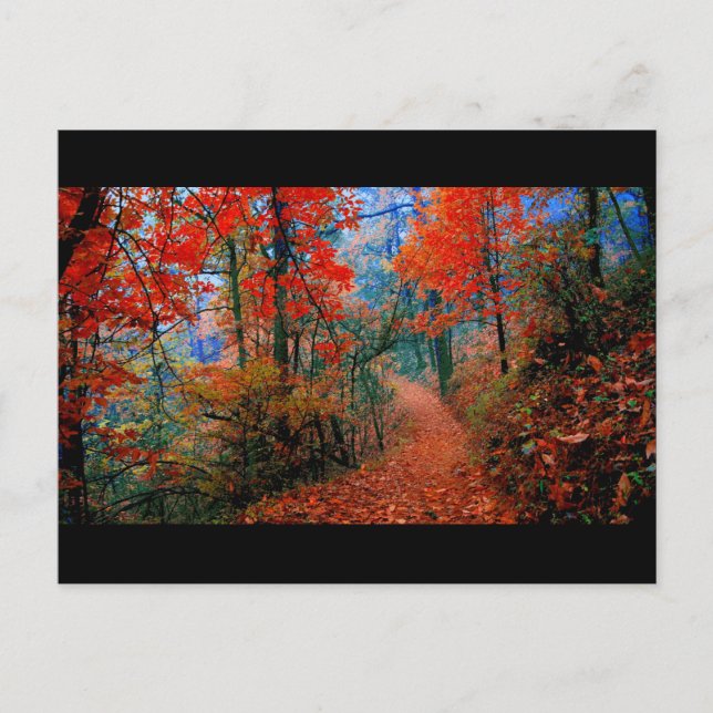 Pinselforst Herbstflammflammgeschenke Postkarte (Vorderseite)