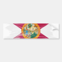 Pinselstrich mit Florida-Staatsflagge, Florida-Fla
