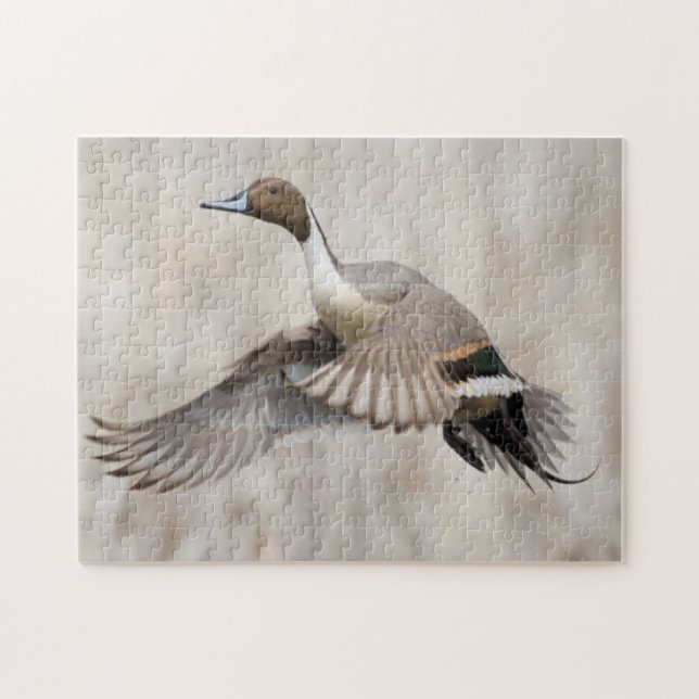 Pintail Drake Taking Puzzle (Horizontal)