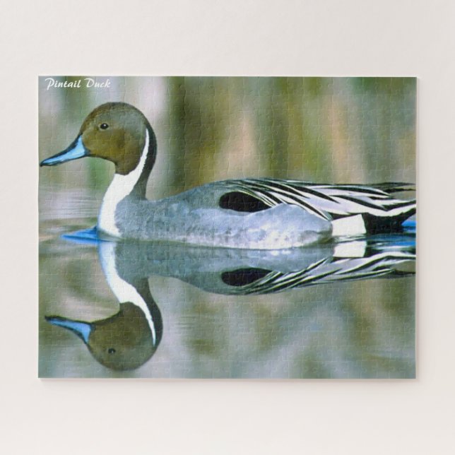 Pintail Duck Puzzle (Horizontal)
