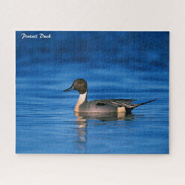 Pintail Duck Puzzle (Horizontal)
