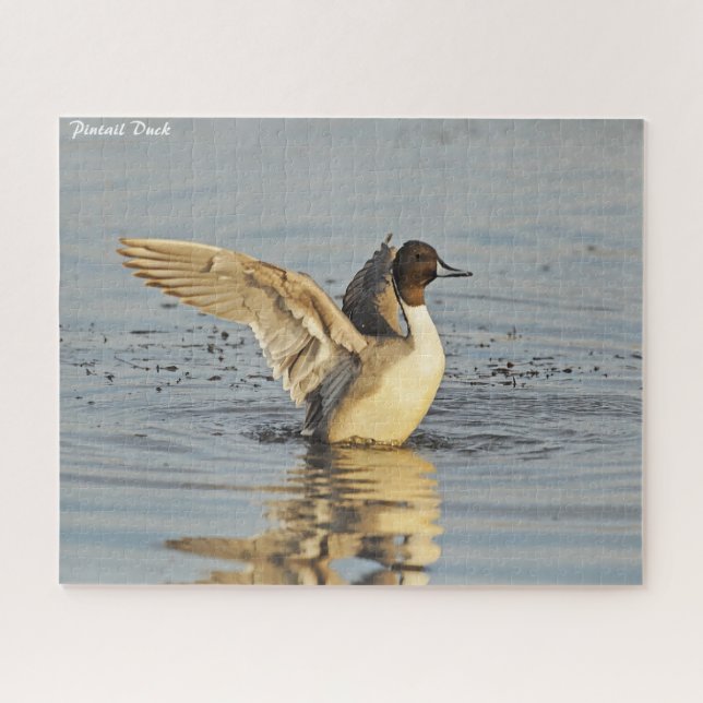 Pintail Duck Puzzle (Horizontal)