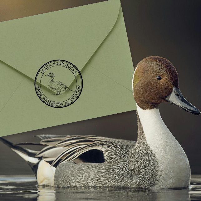 Pintail Duck Wasservögel Natur oder Rücksendeadres Gummistempel (Von Creator hochgeladen)
