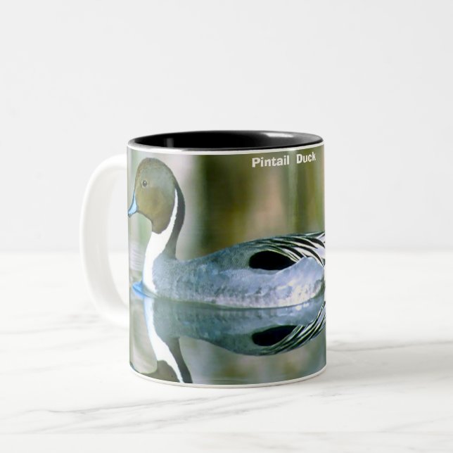 Pintail Duck Zweifarbige Tasse (Vorderseite Links)