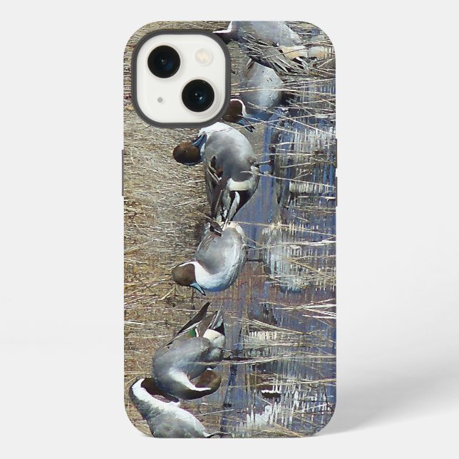 Pintail Ducks iPhone 6 Fall Hülle (Rückseite)