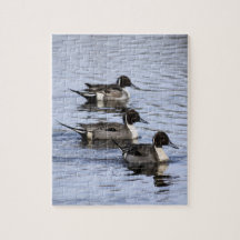 Pintail Ente Trio Jigsaw Puzzle