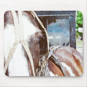 Pinto Amish Buggy Pferd Mousepad
