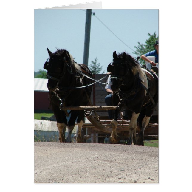 Pinto-Einsenkung (Vorne)