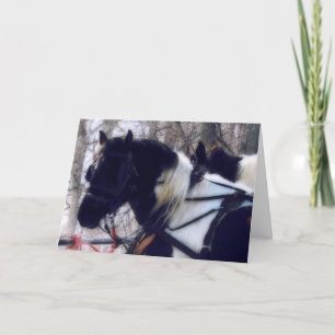 Pinto Entwurf Pferd Team, Weihnachten