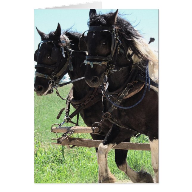 Pinto-Entwürfe am Arbeitsplatz (Vorne)