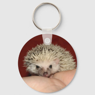 Pinto-face-Igel Schlüsselanhänger