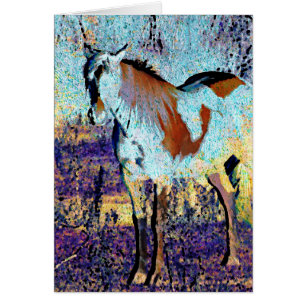 Pinto Horse Digitale Kunst