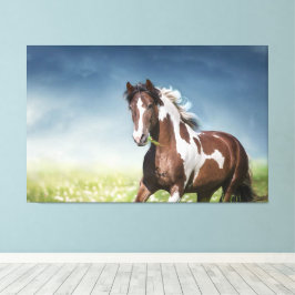 Pinto Horse Gallops durch Blumenfruchtwiese Leinwanddruck
