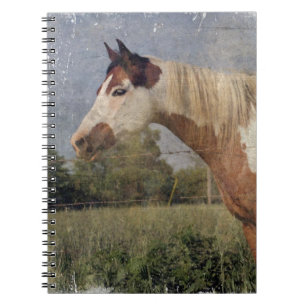 Pinto Horse Grunge Notizblock