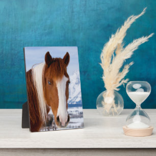 Pinto Horse Mount Moran im Winter Fotoplatte