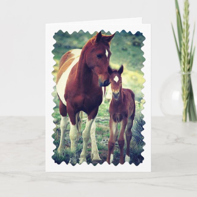 Pinto Mare and Foal, Geburtstag Karte (Vorderseite)