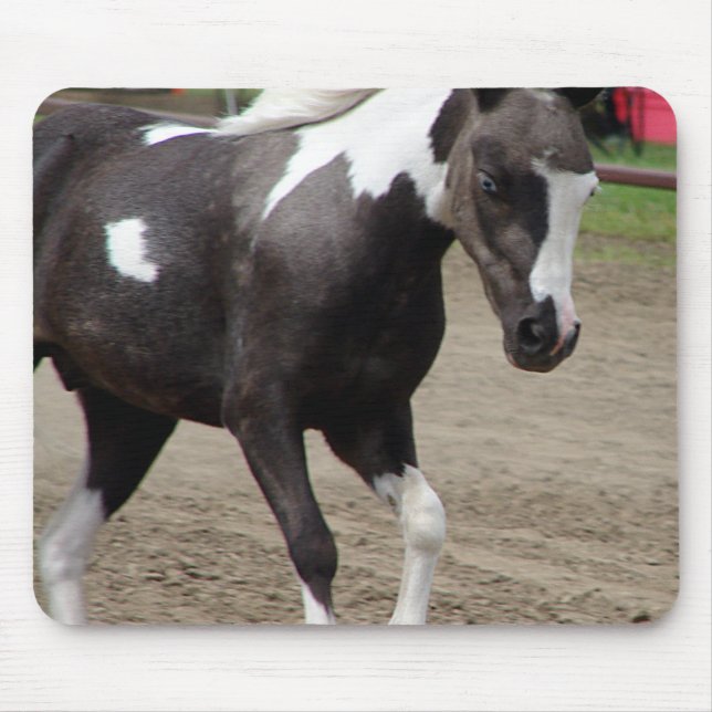 Pinto-Mini-Pferd Mousepad (Vorne)