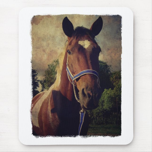 Pinto Mousepad (Vorne)