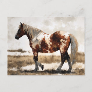 Pinto Mustang Horse Painting Postcard Postkarte