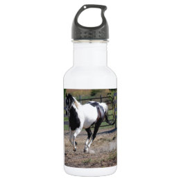 Pinto Paint Horse Edelstahlflasche