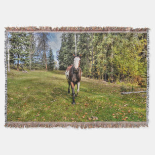 Pinto Paint Horse & Forest auf Ranch Decke