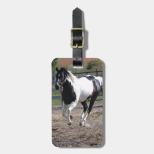 Pinto Paint Horse Gepäckanhänger