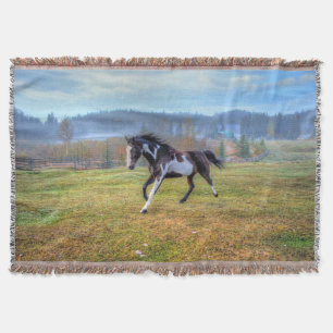 Pinto Paint Horse & Misty Morning auf Ranch Decke