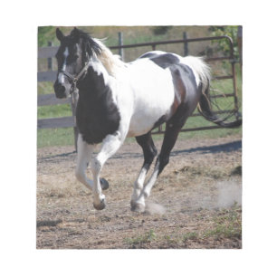 Pinto Paint Horse Notizblock