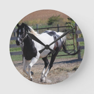 Pinto Paint Horse Runde Wanduhr