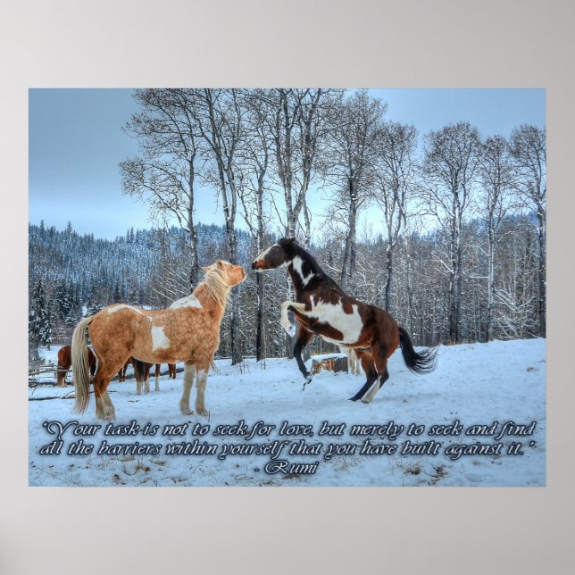 Pinto Paint Stallions, Snow & Rumi Quote Poster (Vorne)