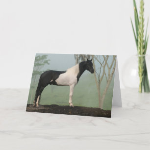 Pinto-Pferd Karte
