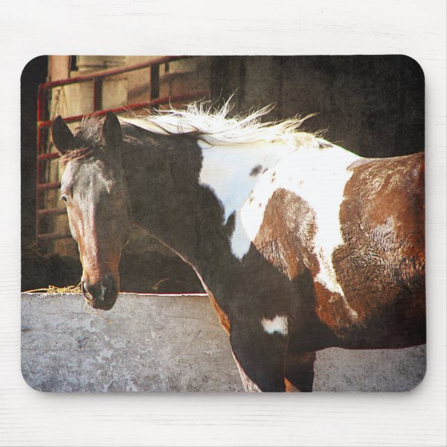 Pinto Pferd Mousepad (Vorne)
