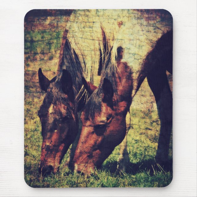 Pinto Pferde Mousepad (Vorne)