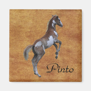 Pinto Pony Horse-Liebhaber Geschenk Magnet