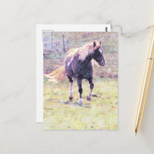 Pinto Pony Postkarte