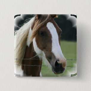 Pinto-Pony-Quadrat-Button Button