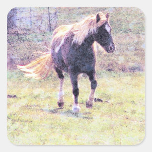 Pinto Pony Quadratischer Aufkleber