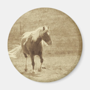 Pinto Pony Sepia Magnet