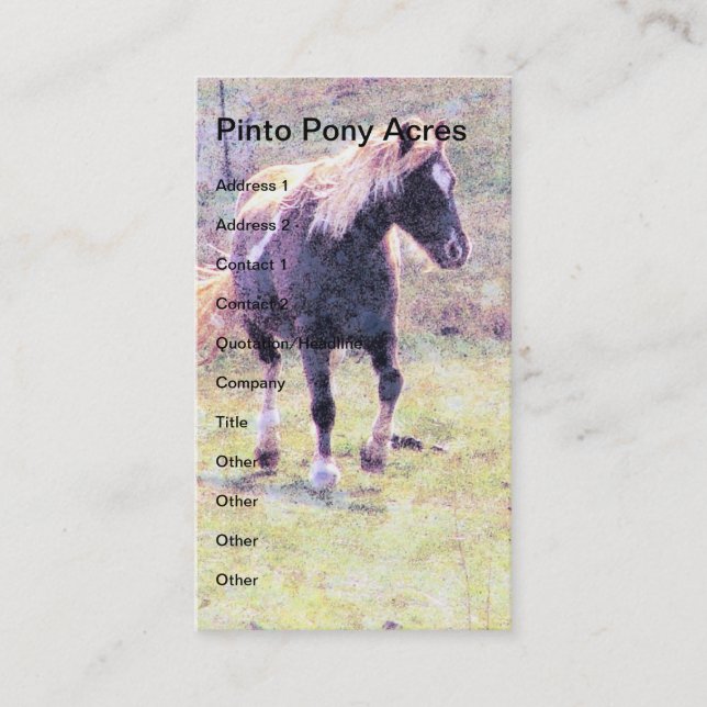 Pinto Pony Visitenkarte (Vorderseite)