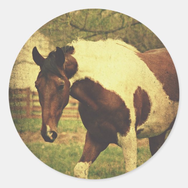 Pinto Runder Aufkleber (Vorderseite)