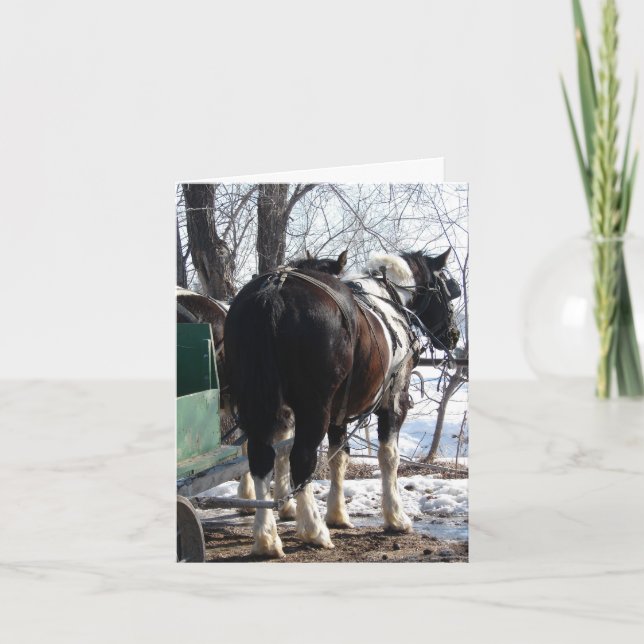 Pinto-Tiefpferde Karte (Vorderseite)