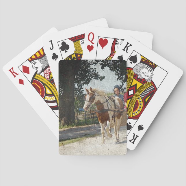 Pinto und Kinder in der Buggy Spielkarten (Rückseite)