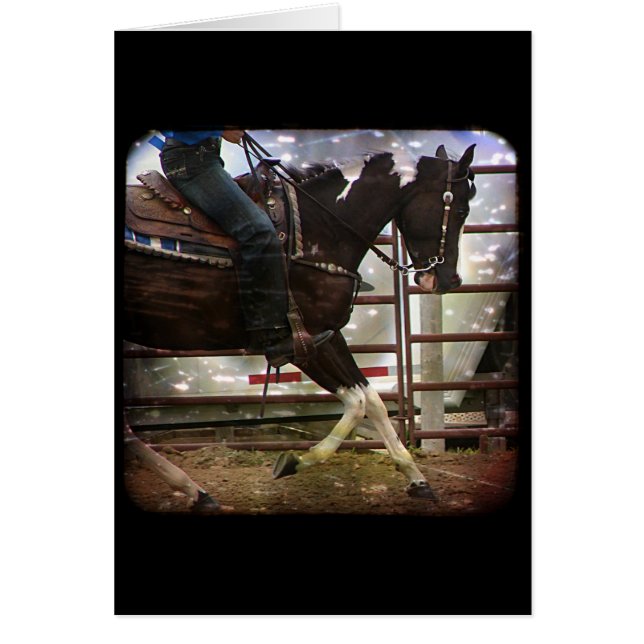 Pinto Western (Vorne)