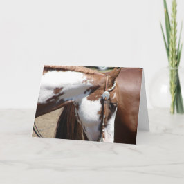 Pinto Western Pferd Karte